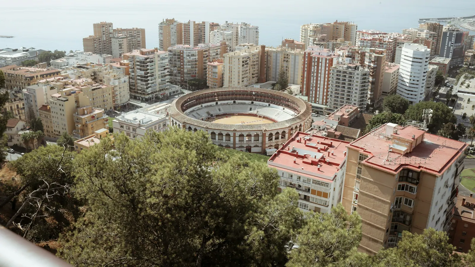 Lokal mad og kultur i Málaga