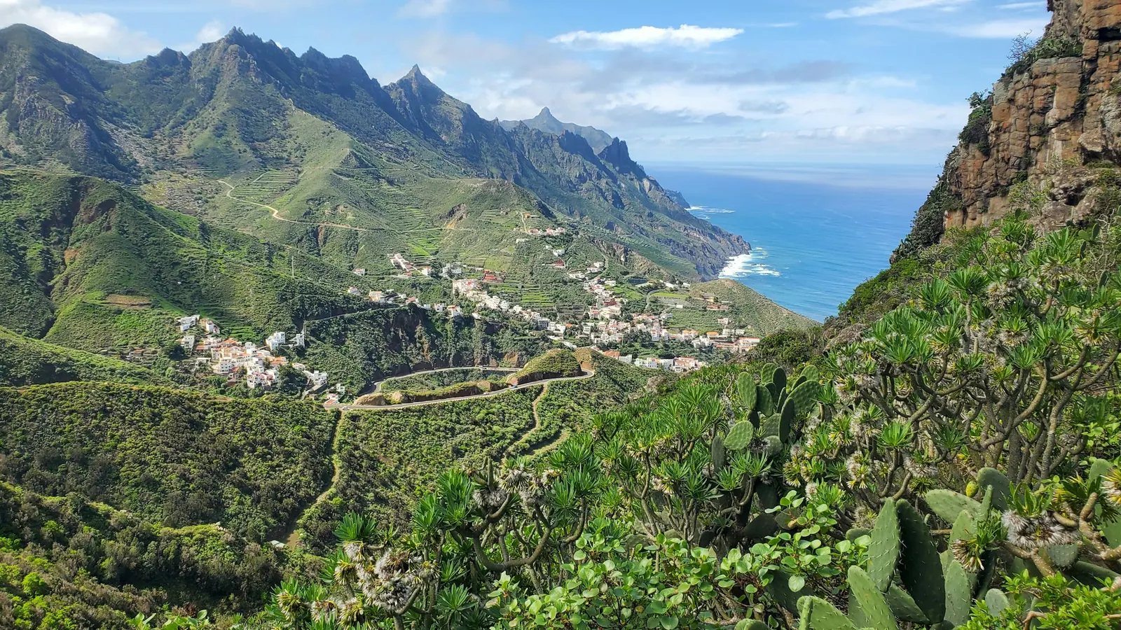 Lokal mad og kultur i Tenerife